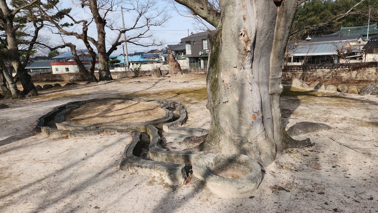 문화유산답사회 '우리얼'_사진_20260111_35.jpg