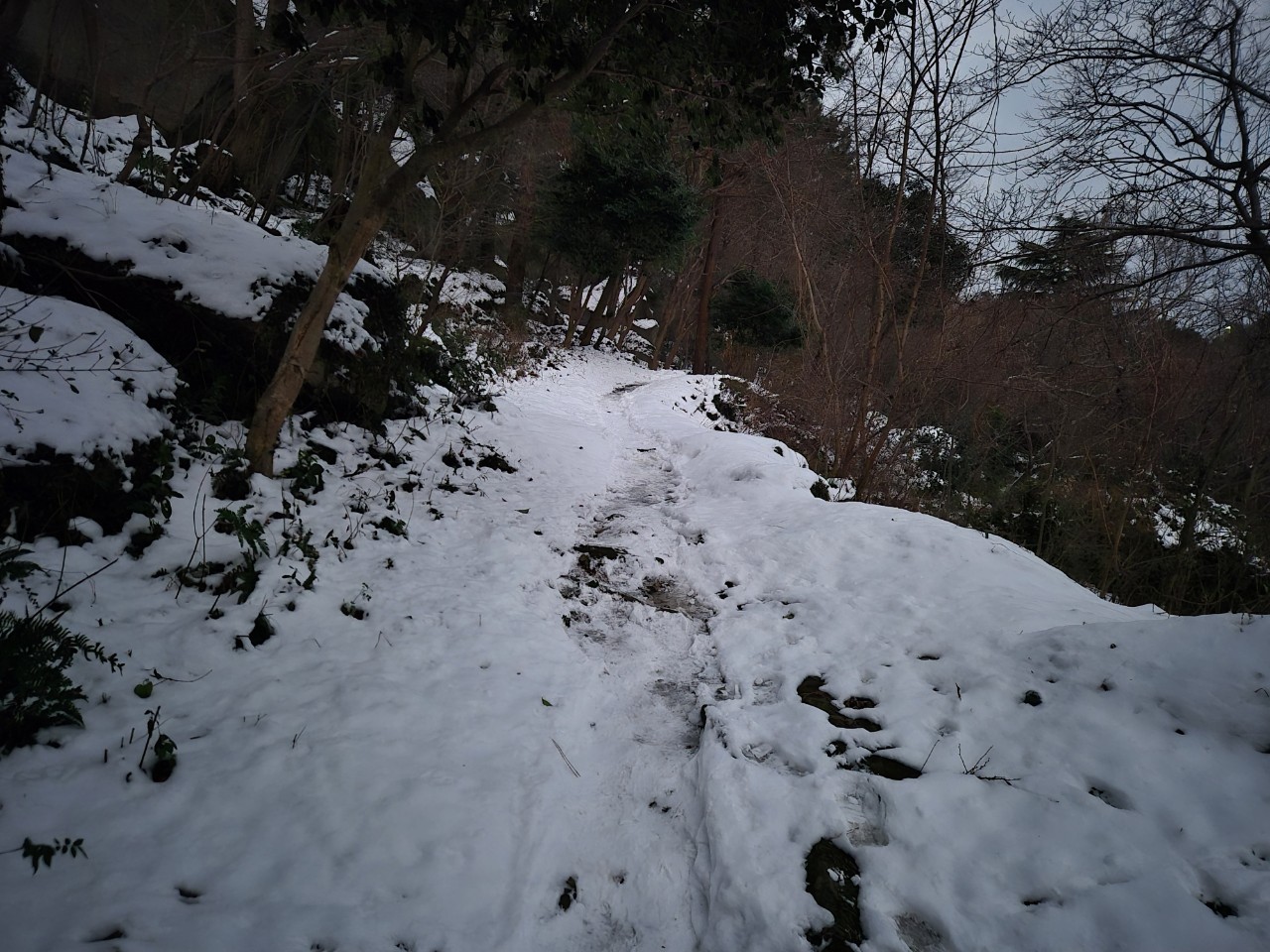 문화유산답사회 '우리얼'_사진_20260108_20.jpg