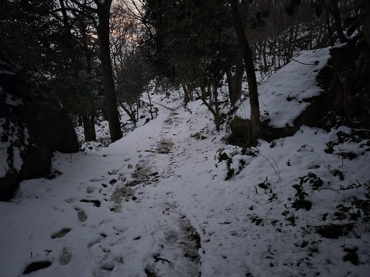 문화유산답사회 '우리얼'_사진_20260108_21.jpg