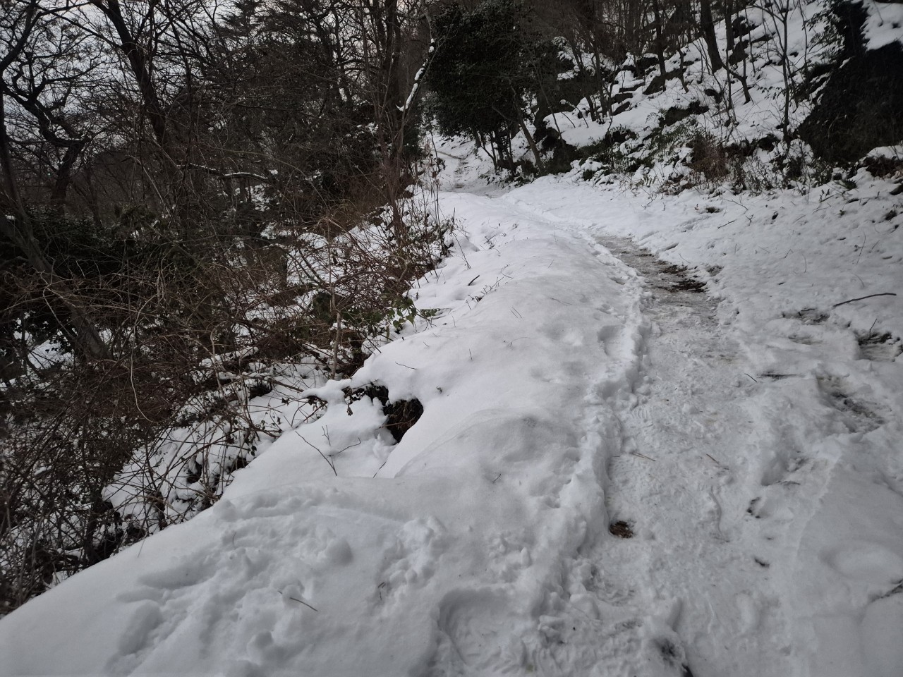 문화유산답사회 '우리얼'_사진_20260108_27.jpg