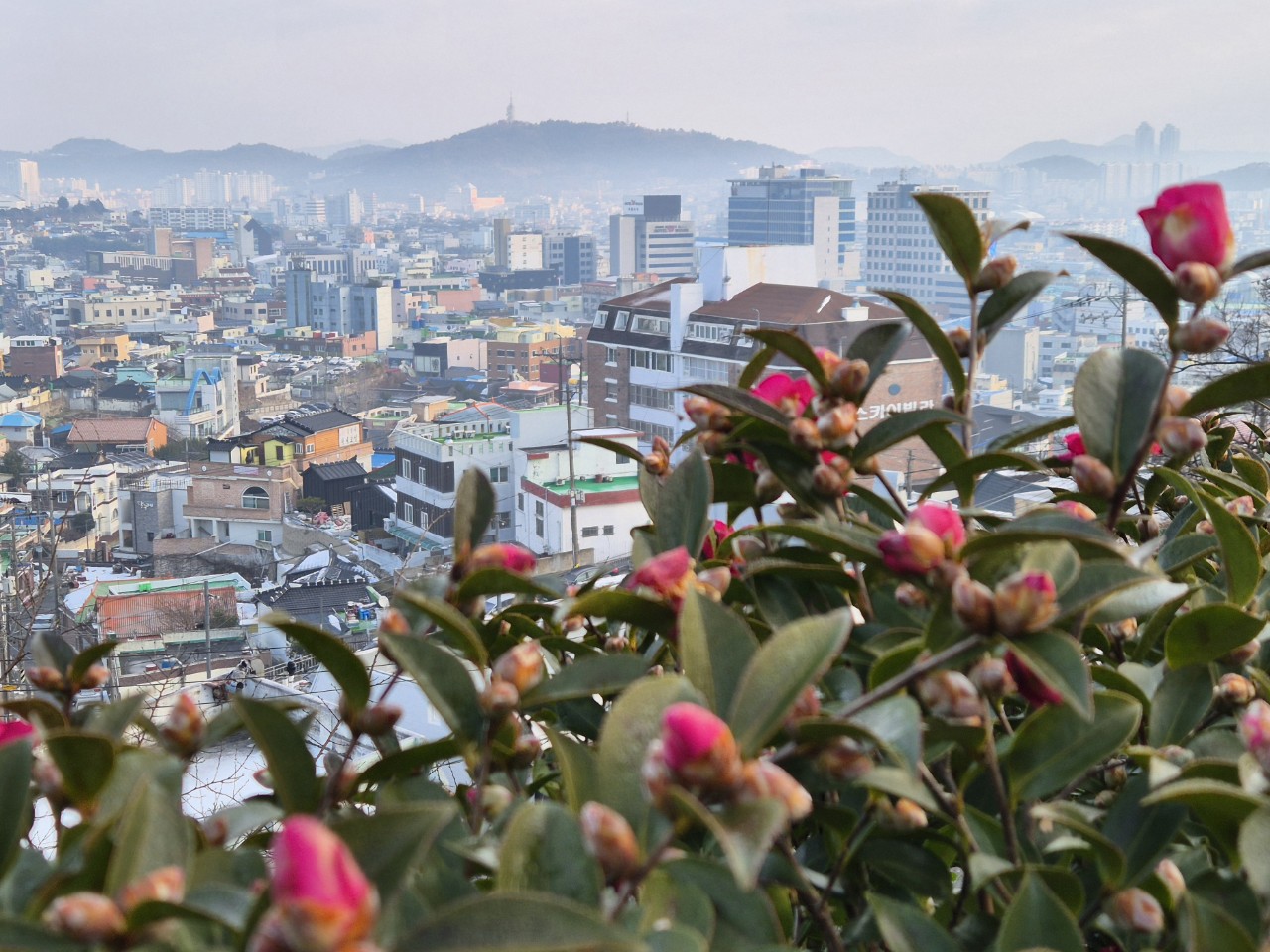 문화유산답사회 '우리얼'_사진_20260108_41.jpg