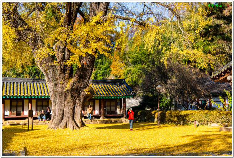 다운로드파일-1.jpg